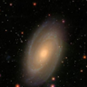 Meet your Posher, Breanna